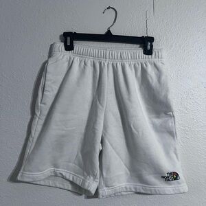 North Face Mens Pride Logo Shorts